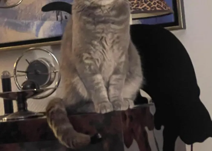 בית אירוח La Galerie